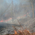 brush fire april 16 2008 014